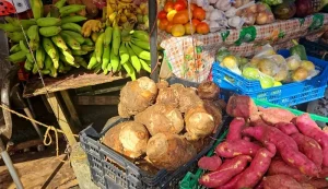 Portsmouth Market in Dominica