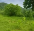 Borne Repo