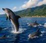 Bottlenose Dolphins