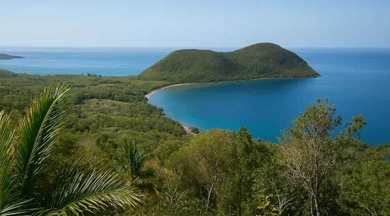 Coastal Woodlands of Dominica