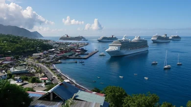 Cruise Indsutry Growth for Dominica