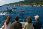 Dolphin Watching in Dominica
