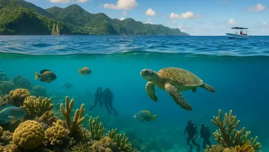 Dominica Marine Reserves
