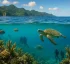 Dominica Marine Reserves