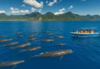 Whale Watching Capital of the Caribbean