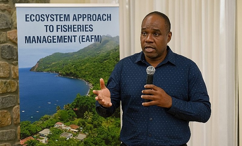 Ecosystem Approach to Fisheries Management (EAFM) Plan for Dominica
