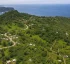 Kalinago Territory Trails