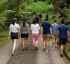 Nature Walks in Dominica