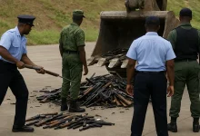 Destorying Firearms