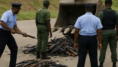 Destorying Firearms