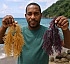 Seamoss Varieties in Dominica
