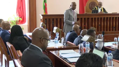 Prime Minister Roosevelt Skerrit stands to Address Parliament