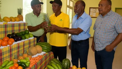 Local farmers review fruit quality at a Dominican agricultural showcase