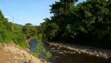 Belfast River