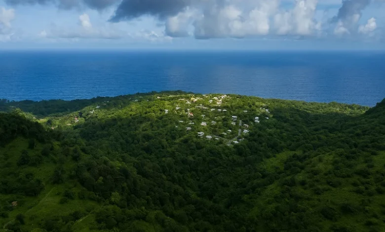 La Plaine Constituency