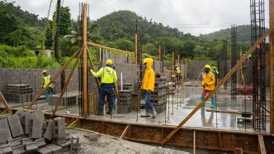 Ongoing Construction of the National Abattoir of Dominica, located in Layou Park