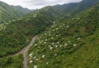 Petite Savanne Constituency