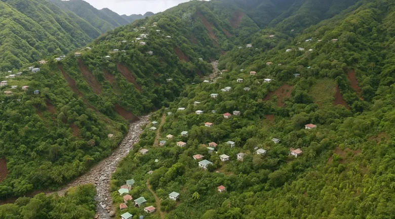 Petite Savanne Constituency