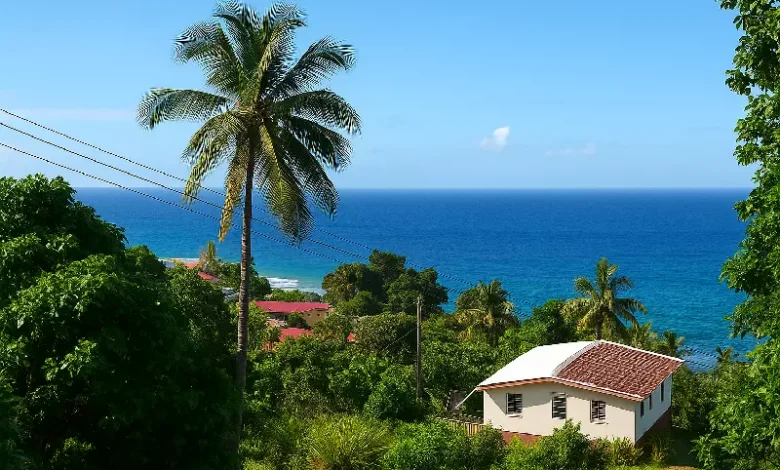 Roger Upper Canefield Dominica