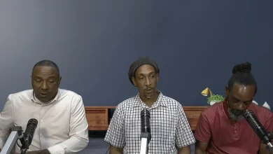Cannabis Dominica Discussion Panel