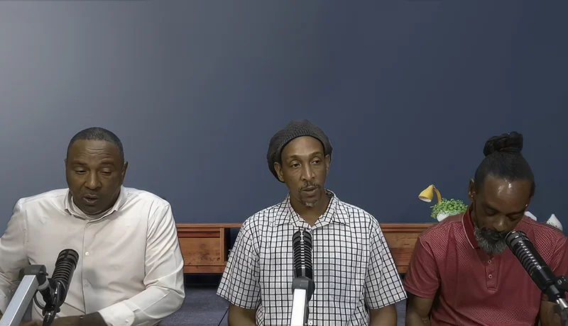 Cannabis Dominica Discussion Panel