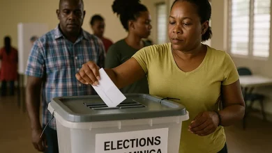 Elections in Dominica