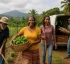 Farming in Dominica