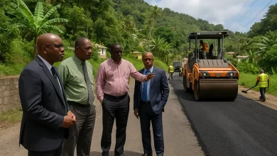 Government officials inspecting road works in Dominica