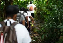 Hikers in Dominica Hiking A Rainforest Trail