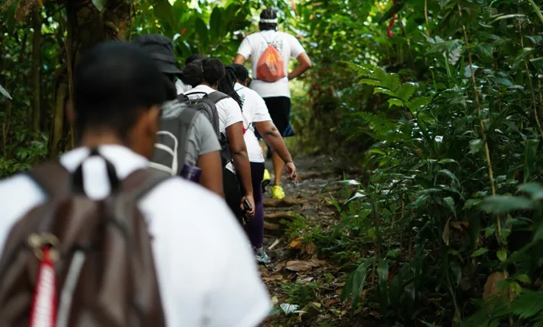 Hikers in Dominica Hiking A Rainforest Trail