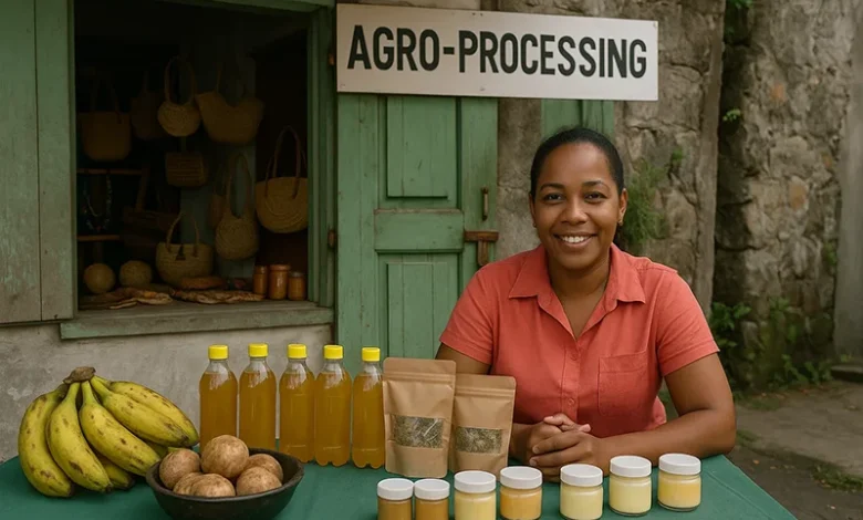 Micro and Small Business Enterprise Act of Dominica