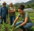 Sustainable Agriculture in Dominica