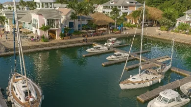 Cabrits Marina in Portsmouth Dominica - Render