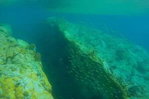 Under Water view of Douglas Point in Dominica