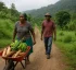Feeder Roads in Dominica