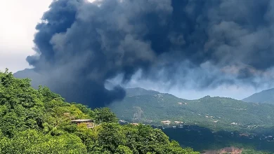 Fond Cole fire