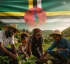 Growth and Social Protection Strategy (GSPS) of Dominica