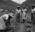 Land Settlement Scheme