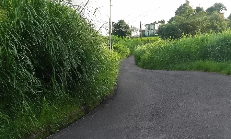 Warner Road in Dominica