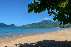 Coconut Beach