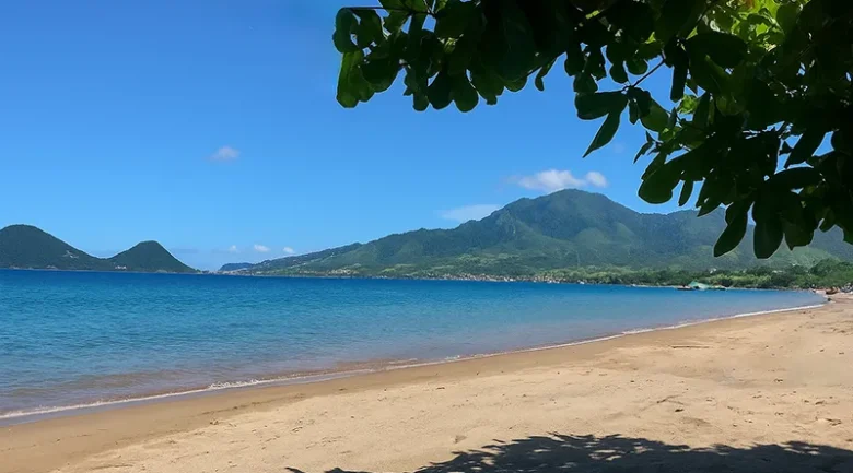 Coconut Beach