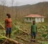 Hurricane Beryl (2018)
