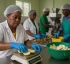 Multi-Purpose Agro-Processing Facility