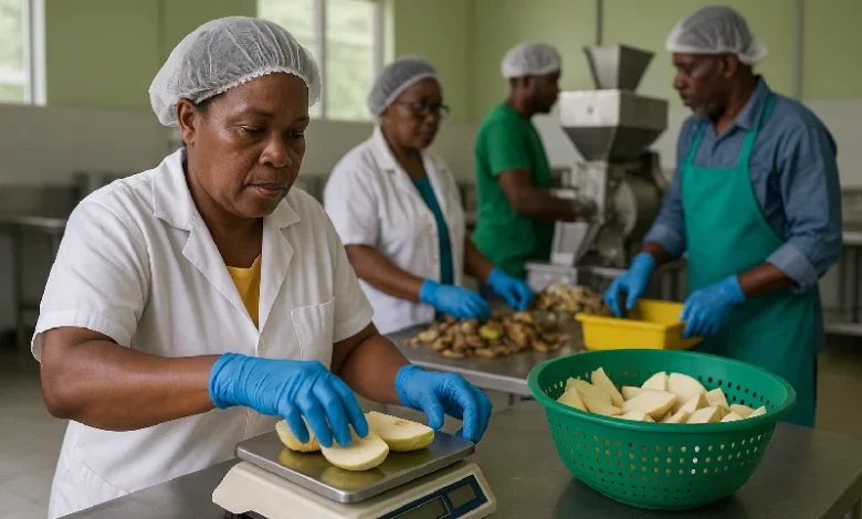 Multi-Purpose Agro-Processing Facility in Dominica