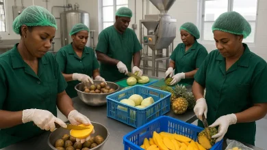 Staff at their various Stations working on Raw Materials for Processing into Agro-products ready for comsumption