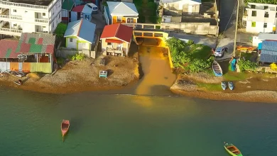 Soufrière River in Dominica