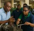 Apprenticeship (Education and Training) in Dominica