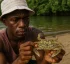 Callinectes Marginatus