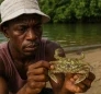 Callinectes Marginatus
