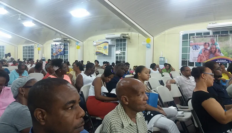 DCSLL Members sitting at a General Meeting
